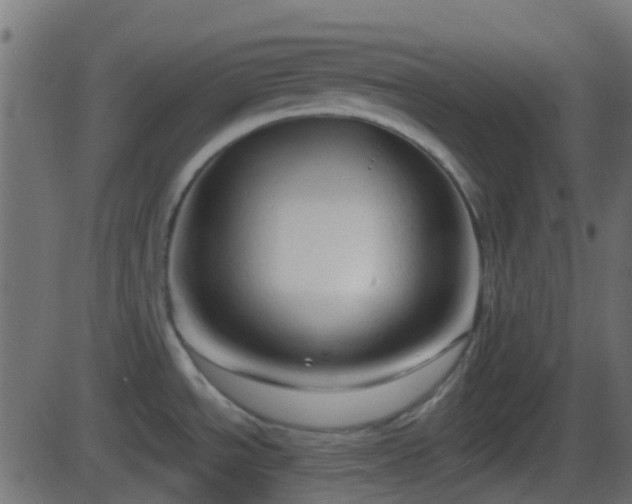 X0000086271534200704051256