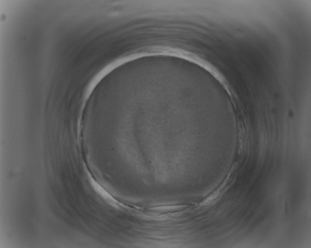 X0000086271535200704051256