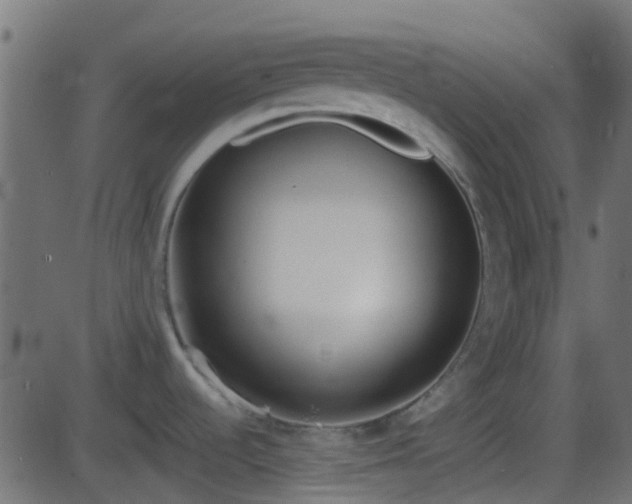 X0000086271536200704051256