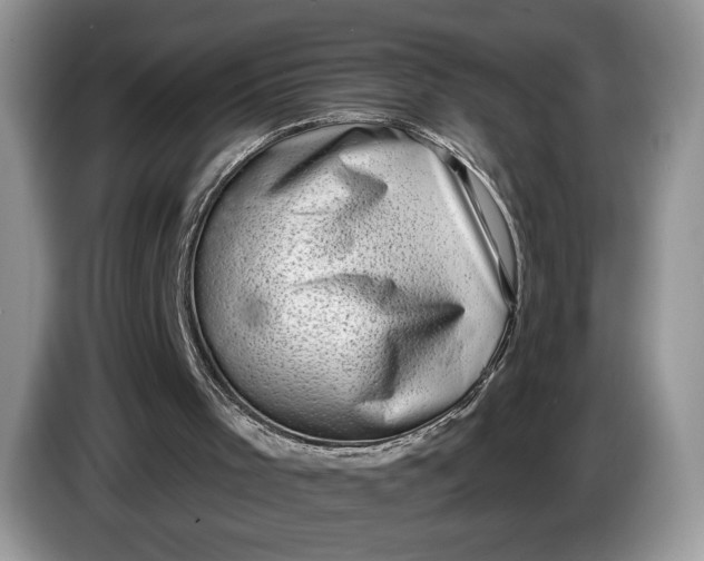 X0000086270001200704122038