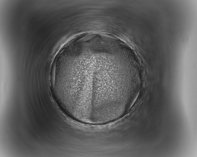 X0000086270002200704122038