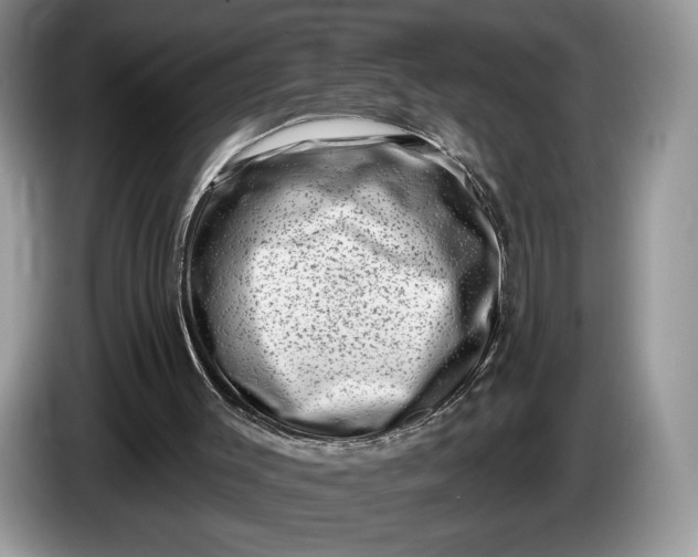 X0000086270003200704122038