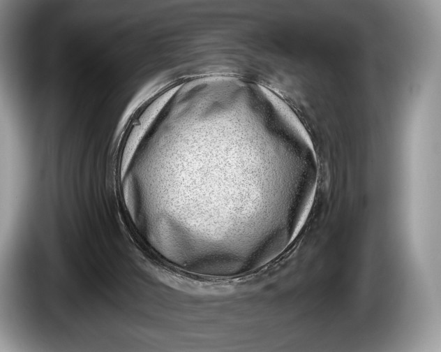 X0000086270004200704122038