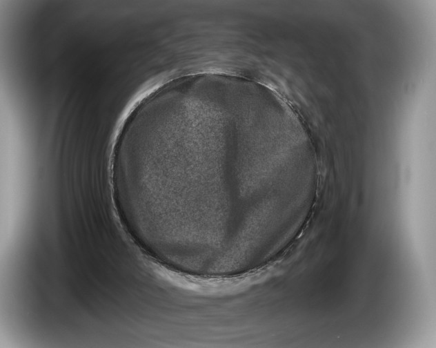 X0000086270006200704122037