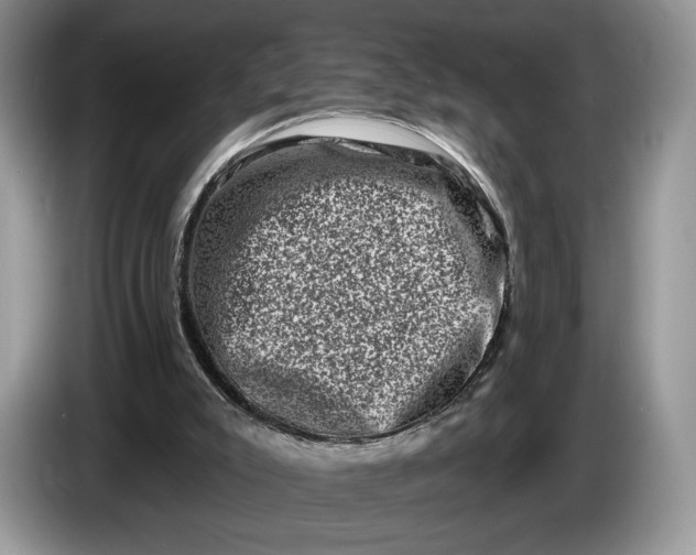 X0000086270007200704122037