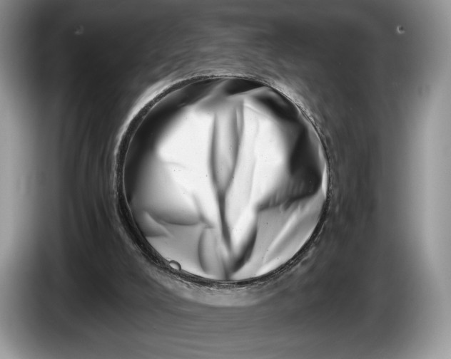 X0000086270008200704122037