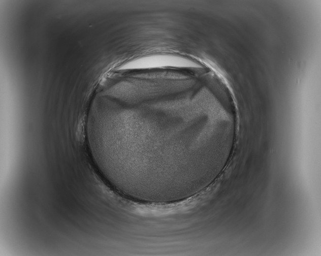 X0000086270009200704122037