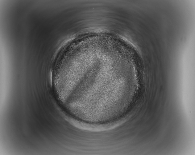 X0000086270014200704122037