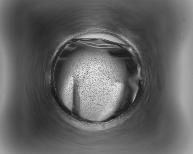 X0000086270015200704122037