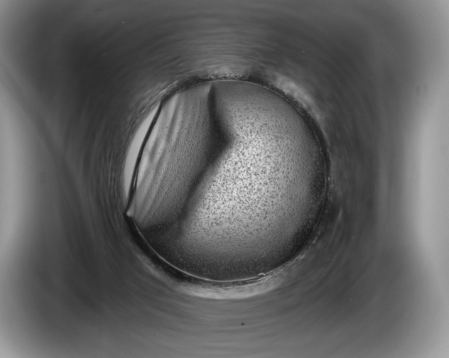 X0000086270017200704122037