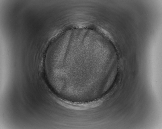 X0000086270018200704122037