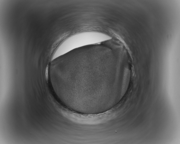 X0000086270019200704122037