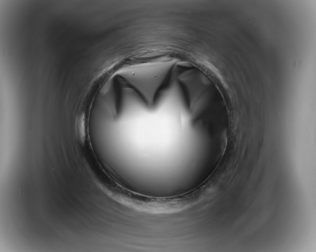 X0000086270020200704122037