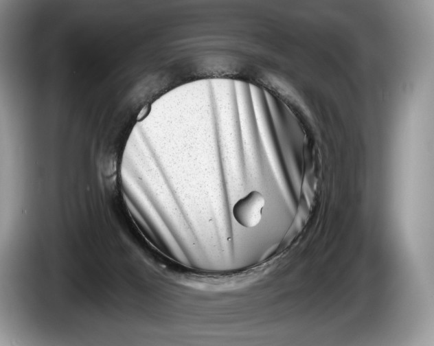 X0000086270021200704122037