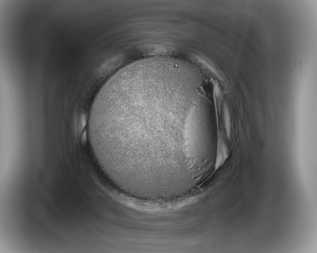 X0000086270022200704122037