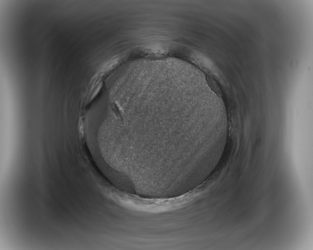 X0000086270023200704122037