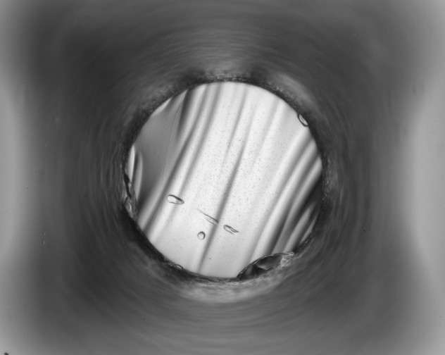 X0000086270025200704122037