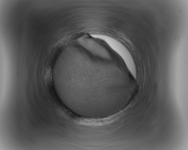 X0000086270029200704122037