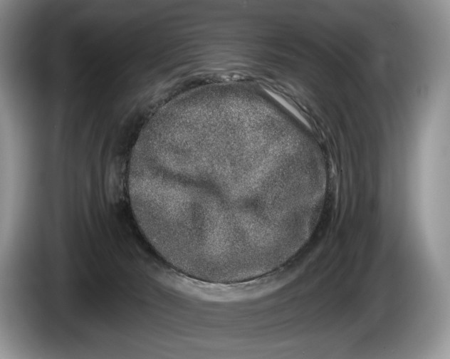 X0000086270030200704122037