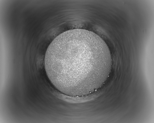 X0000086270034200704122037