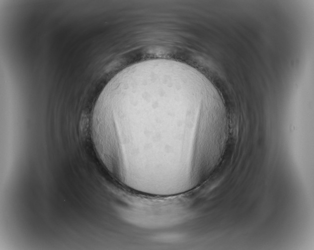 X0000086270036200704122037