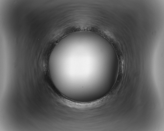 X0000086270039200704122037