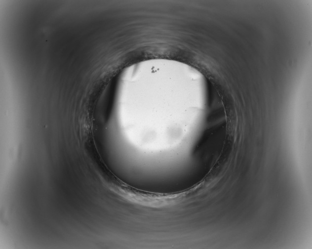 X0000086270040200704122037