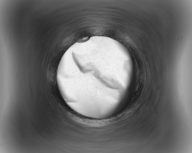 X0000086270044200704122037