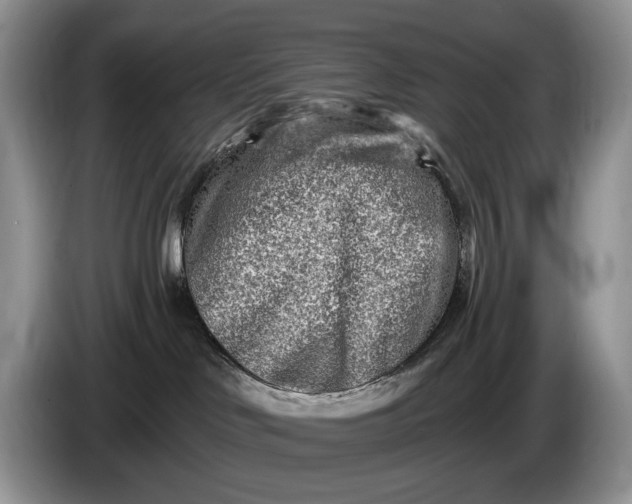 X0000086270046200704122037