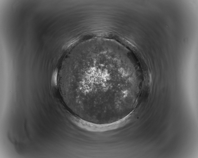 X0000086270047200704122037