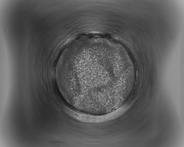 X0000086270048200704122037