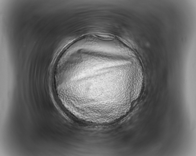 X0000086270049200704122036