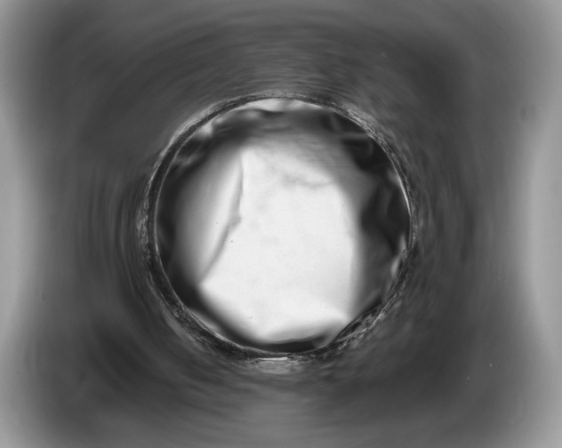 X0000086270050200704122036