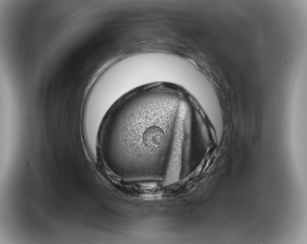 X0000086270052200704122036