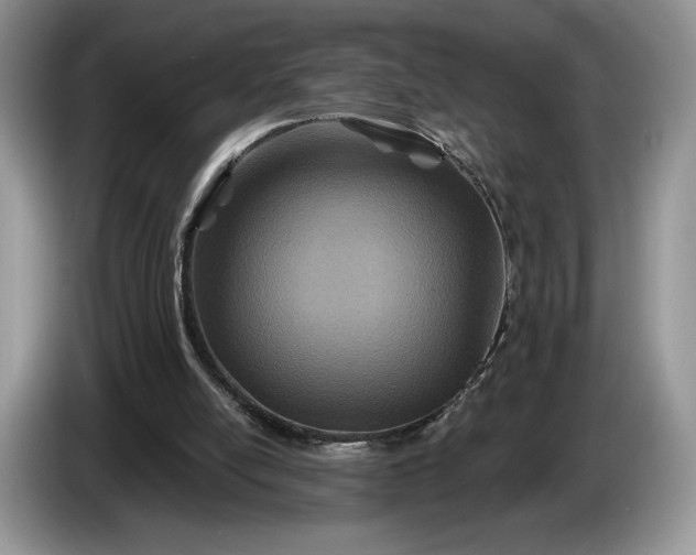 X0000086270054200704122036