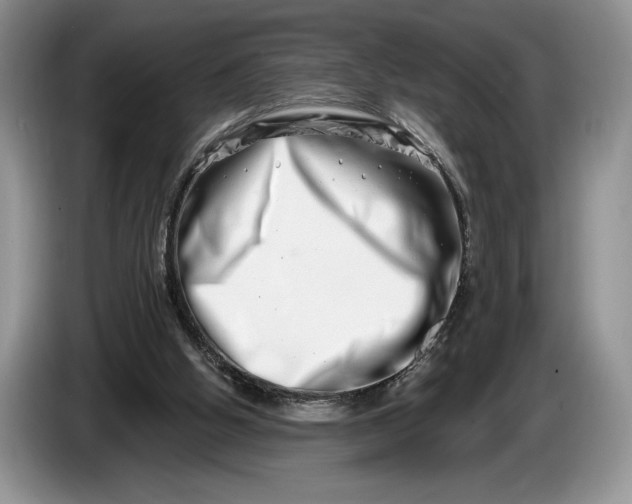 X0000086270058200704122037