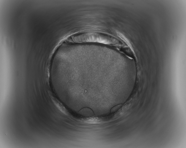 X0000086270059200704122037