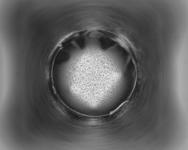 X0000086270060200704122037