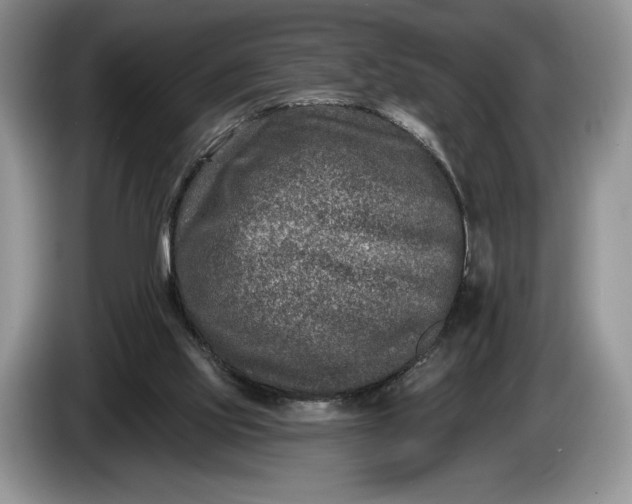 X0000086270061200704122037