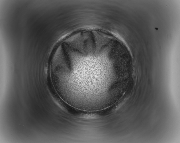 X0000086270063200704122037