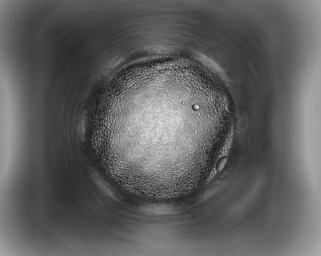 X0000086270065200704122037