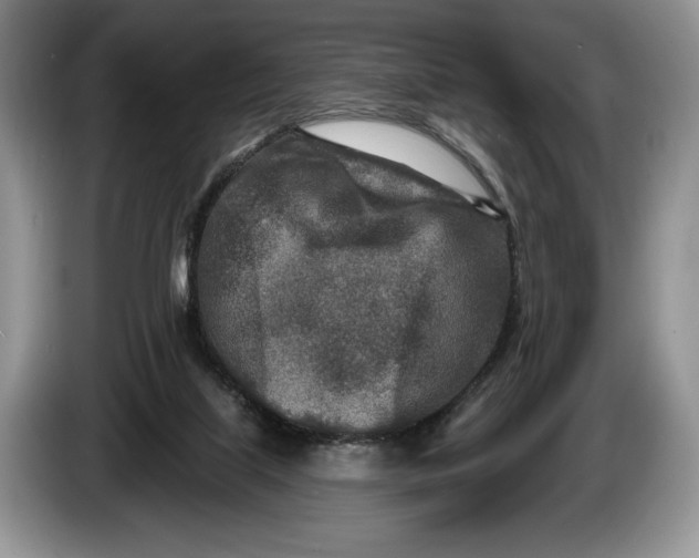 X0000086270067200704122037