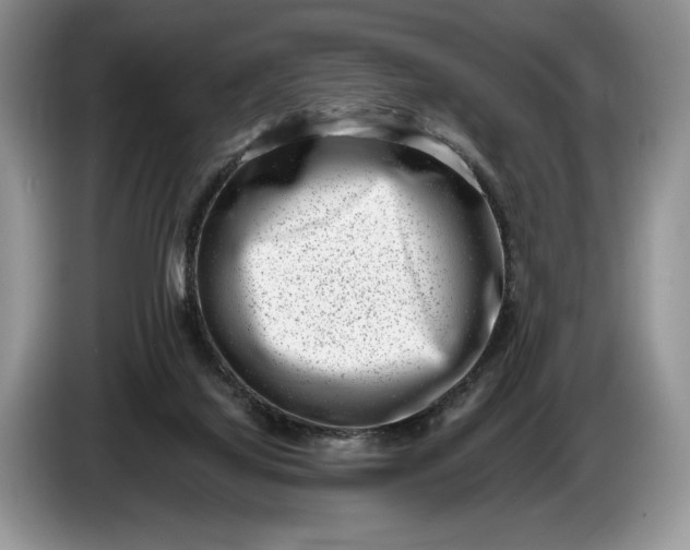 X0000086270068200704122037