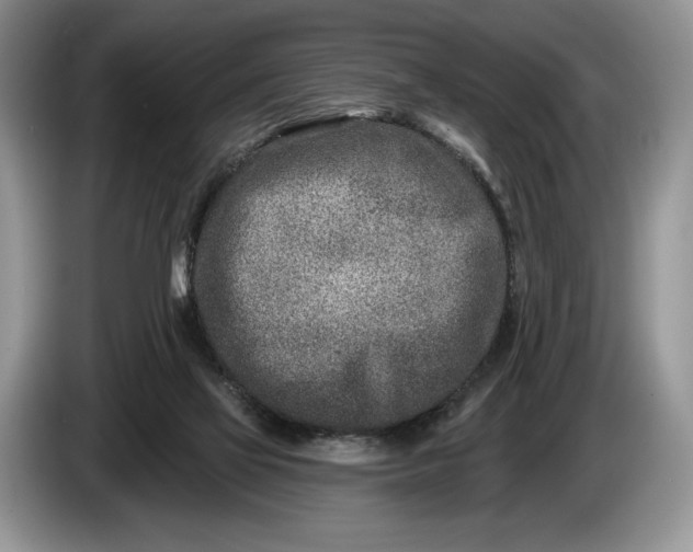 X0000086270069200704122037