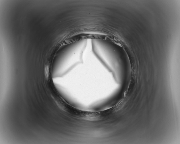 X0000086270070200704122037