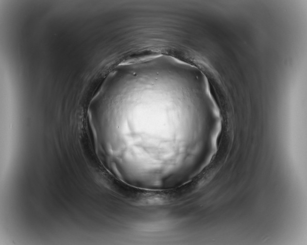 X0000086270073200704122037