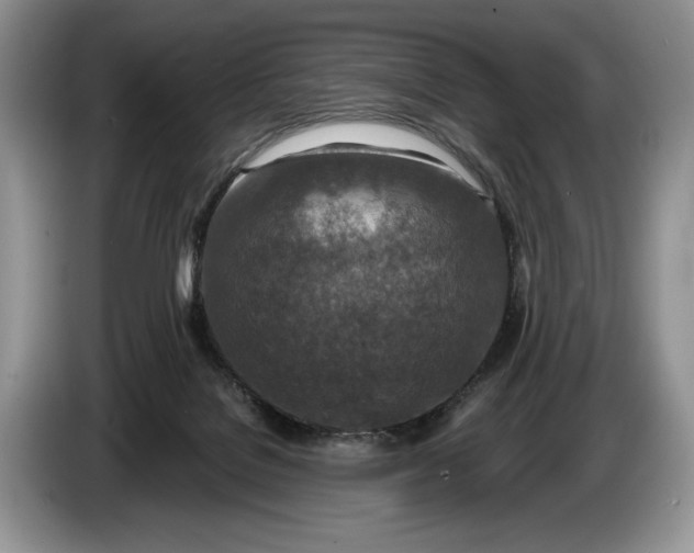 X0000086270076200704122037