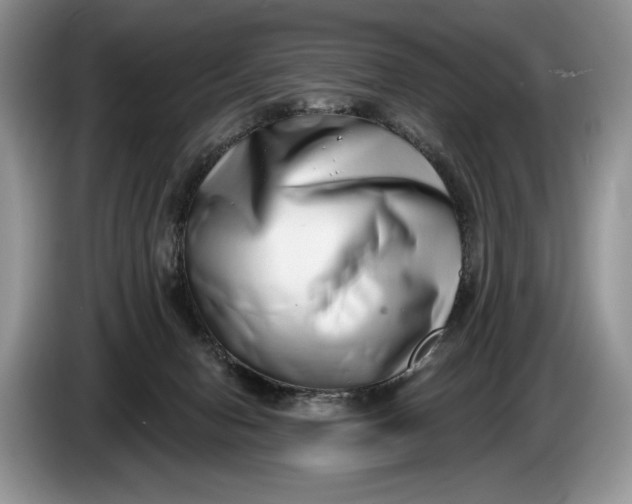 X0000086270078200704122037