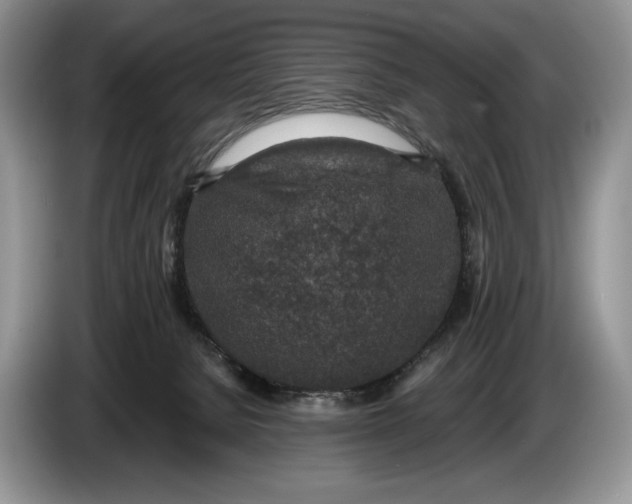 X0000086270080200704122037