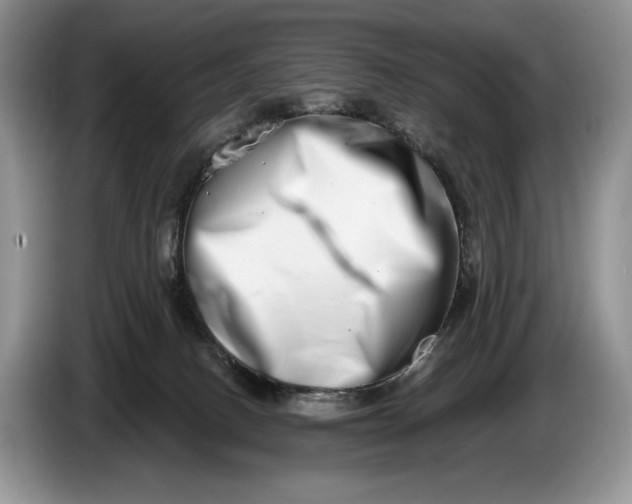 X0000086270082200704122037